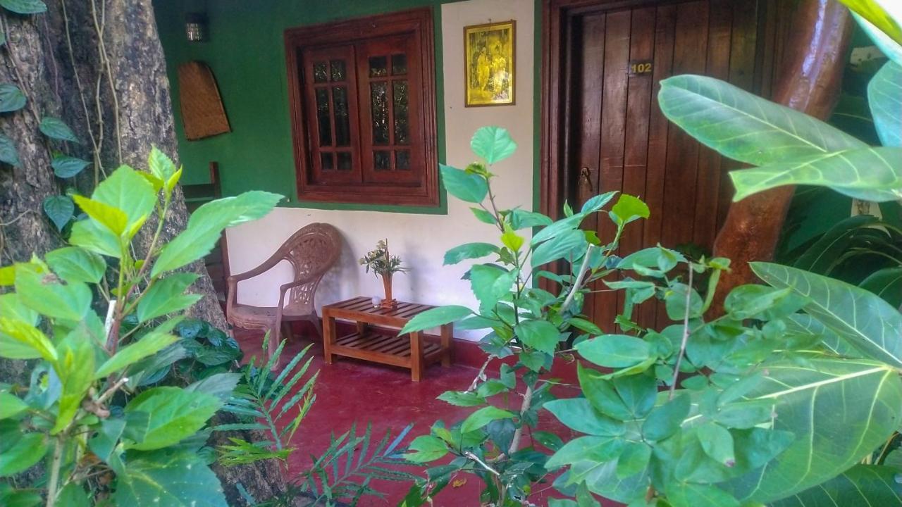 Gangula Eco Lodge 锡吉里亚 外观 照片